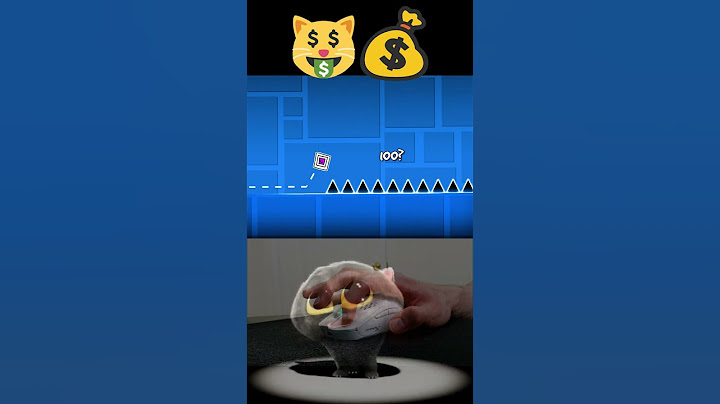 sCATman 100 Spikes Jump Challenge! 😿