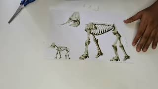 HAIWAN VERTEBRATA SAINS TAHUN 4