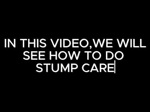 EVERYTHING YOU NEED TO KNOW ABOUT STUMP CARE (Don't Miss This)