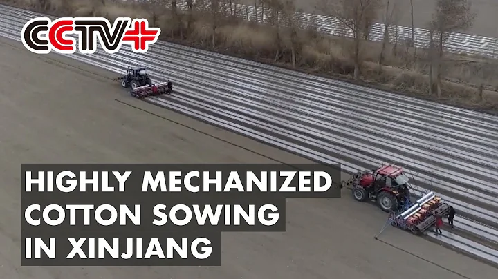 Highly Mechanized Cotton Sowing Begins in Xinjiang - DayDayNews