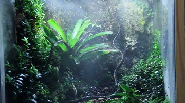 Jungle Hobbies LED Light with MistKing System