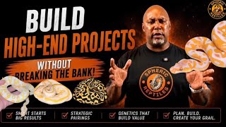 How To Build Expensive Ball Python Projects WITHOUT Going Broke