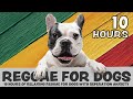 SCIENTIFICALLY PROVEN: 10 Hours of calming Reggae music for dogs with separation anxiety