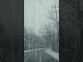 힐링 빗소리 뮤직 Healing rain sound, music 백색소음 ASMR | rain sounds