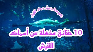 10 حقائق مذهلة عن اسماك القرش||10 amazing facts about sharks