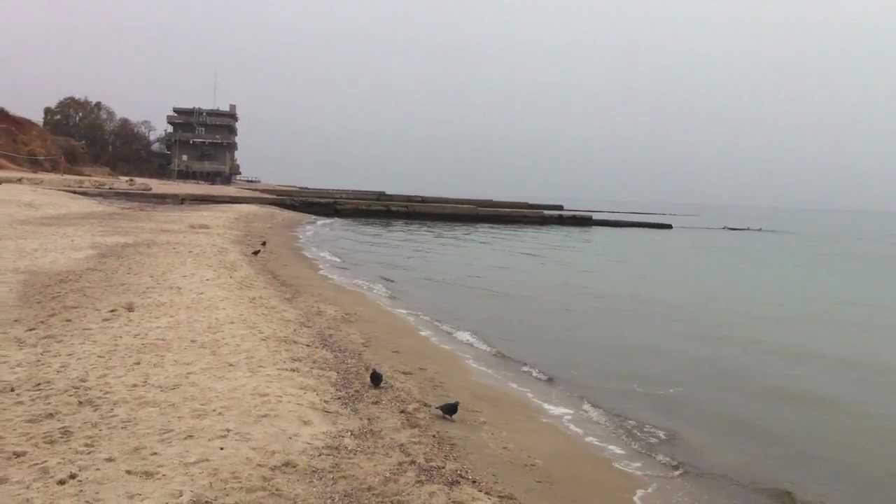Дельфин пляж одесса Дельфин пляж одесса