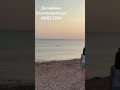 Дельфины. Благовещенская 08.07.2024