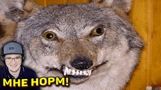 видео: ЗАСМЕЯЛСЯ - ПРОИГРАЛ ► ЛУЧШИЕ ПРИКОЛЫ ( УЛЫБНУЛИСЬ ПРОИГРАЛИ СОЮЗ СМЕХА ) | Реакция картинка: ЗАСМЕЯЛСЯ - ПРОИГРАЛ ► ЛУЧШИЕ ПРИКОЛЫ ( УЛЫБНУЛИСЬ ПРОИГРАЛИ СОЮЗ СМЕХА ) | Реакция