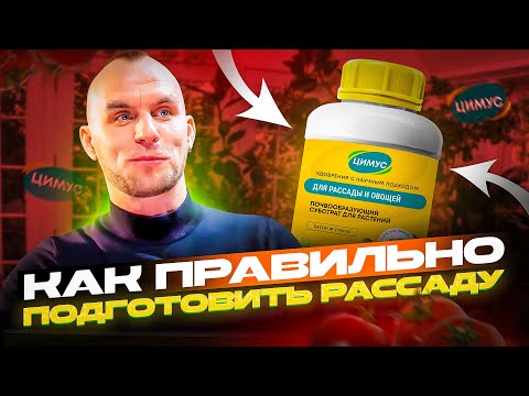 Лучшая подкормка для любой рассады. Инструкция для органического удобрения для рассады ЦИМУС