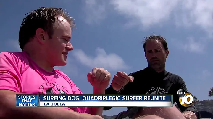 Surfing dog, quadriplegic surfer reunite