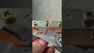 How To Repair Electrical Wires At Home | Safe And Easy Connection Method #shortvideo #wire