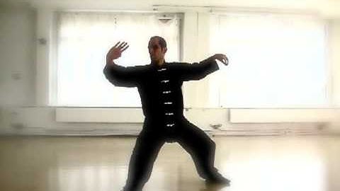 Chen Tai Chi, 15 New Frame (Xinjia Yilu)