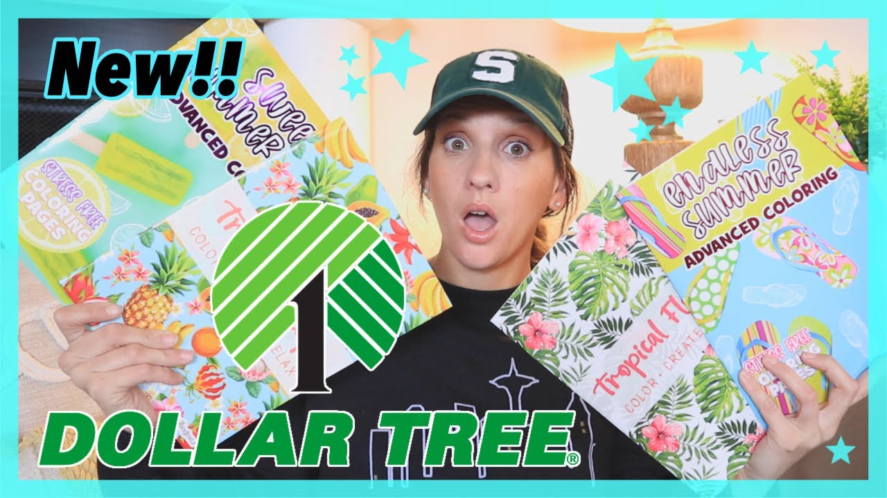 *NEW* DOLLAR TREE HAUL | $1.00 NEW ARRIVALS THIS WEEK | I DIDN’T GET IT