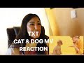 TXT (투모로우바이투게더) &#39;Cat &amp; Dog&#39; Official MV- REACTION