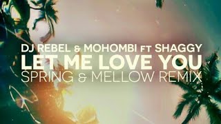 Mohombi - LET ME LOVE YOU- (Song Lyrics) DJ Rebel & Shaggy_Full-HD