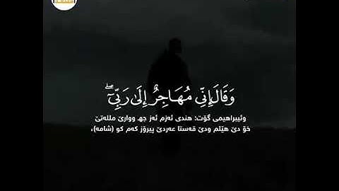 فأمن له لوط وقال إني مهاجرٌ إلى ربي إنه هو العزيز الحكيم|عبد الرحمن مسعد |سورة العنكبوت..