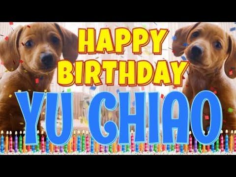 Happy Birthday Yu Chiao! ( Funny Talking Dogs ) What Is Free On My Birthday