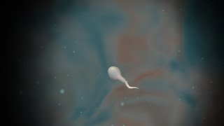 Spore as sperm cell
