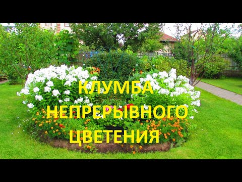 Клумбы из многолетников своими руками для начинающих