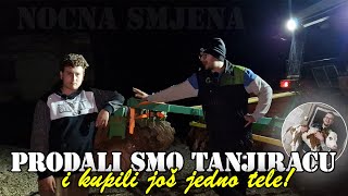 OKOLOKUĆNI POSLOVI #28 - TREĆA SMJENA - PRODALI SMO TANJIRAČU, KUPILI TELE, OPRASILA SE KRMAČA!