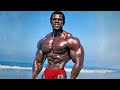 The black panther  smallest waist diamond cut physique of golden era  serge nubret