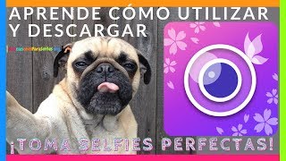 Cómo usar YouCam Perfect – Foto Editor y Cámara-Selfie screenshot 3