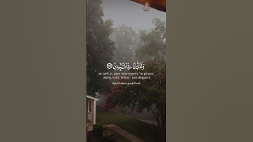 ياسر الدوسري سورة الشعراء من الآيه 217 إلى 220 . #quran #اكسبلور #ياسر_الدوسري #القران_الكريم #لايك