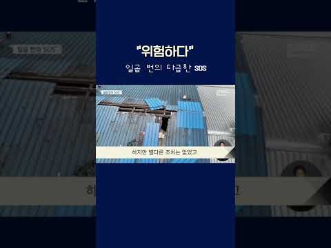 일곱 번의 다급한 SOS  #shorts