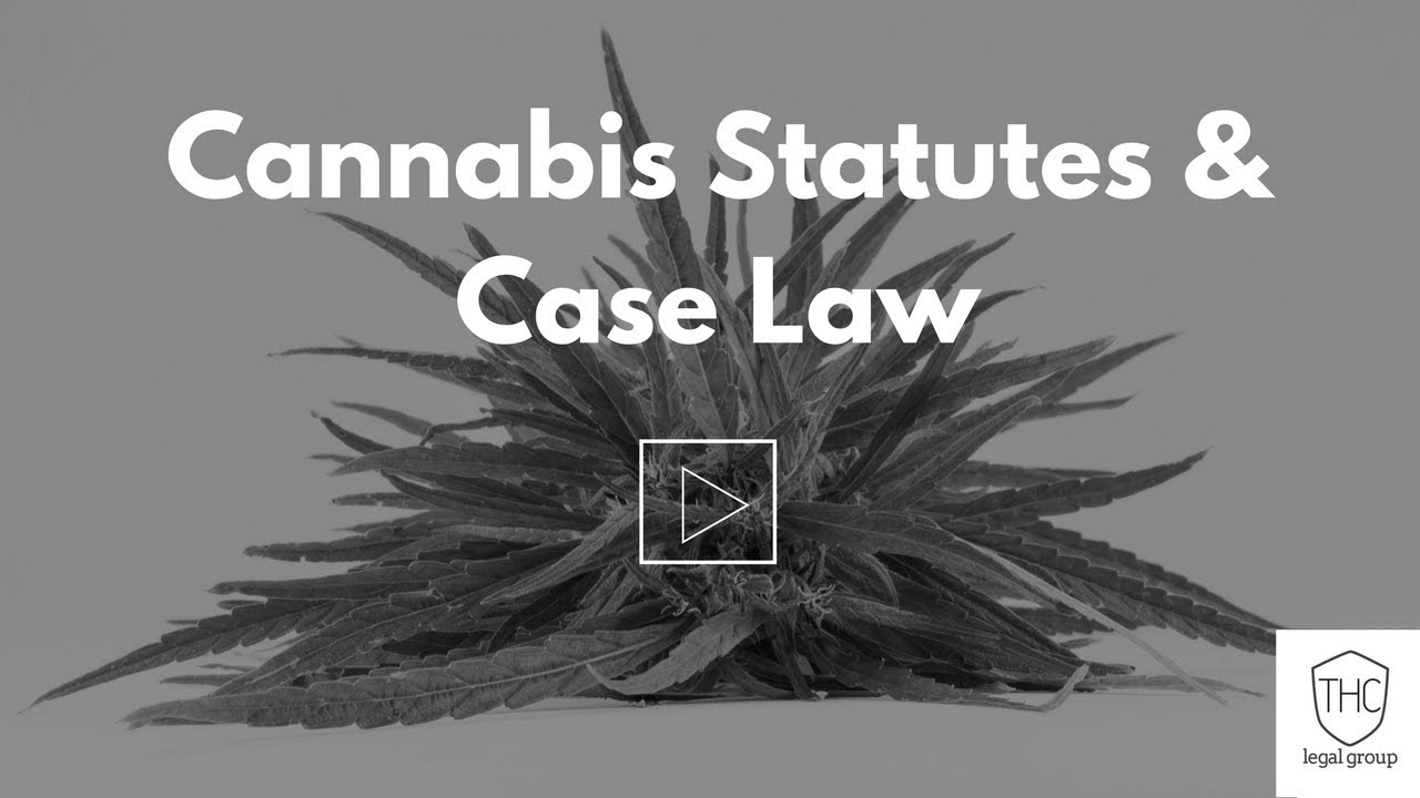 Marijuana Statutes Vs Judicial Decisions YouTube
