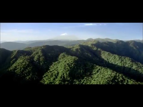 حوار إبراهيم عليه السلام مع والده