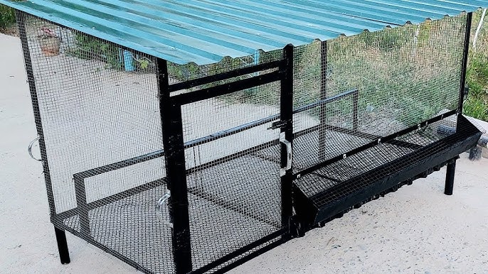 Jinsiy yalangoch Amazonlar chizilgan