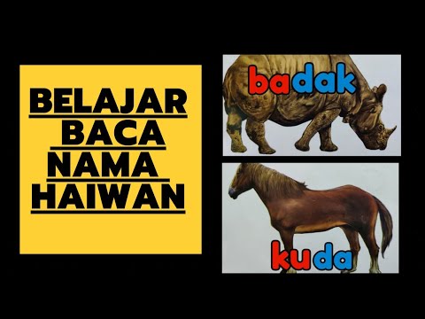 Belajar MEMBACA Nama