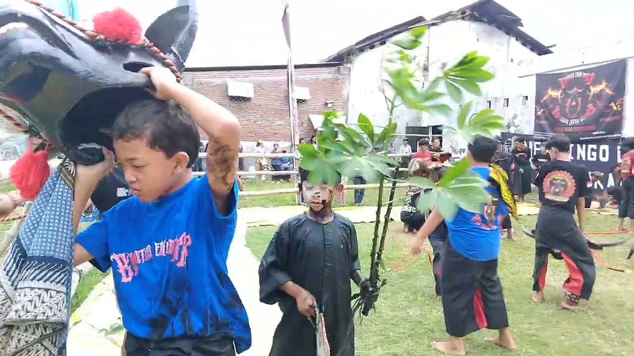 Kalapan#Bantengan#Singo Ludro Kembar#Lokcari Pandanwangi