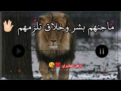 شوكت يخلص نفاق الناس شعر عراقي حزين اشعار قصيره حالات واتساب 2021