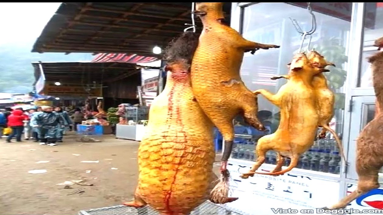 LAS 10 COMIDAS MAS ASQUEROSAS DEL YouTube