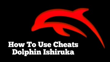 How To Use Cheats On Dolphin Ishiruka v16