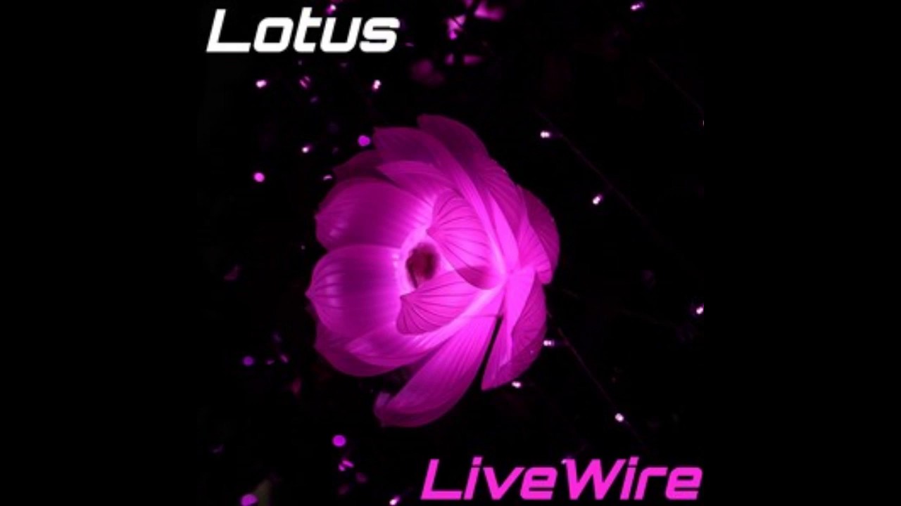 Livewire Youtube