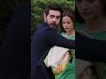 يطلق النار على ديلان 