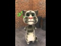 Talking tom beats himself up about things