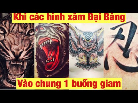 Khi các hình xăm hổ báo đại bàng vào chung buồng giam.