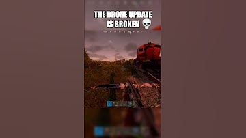 What do you think they