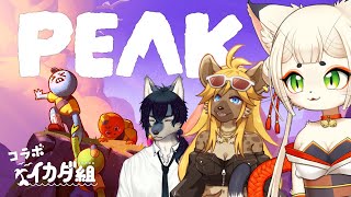 【PEAK】登るぞ！🏔️【ケモノVtuber】