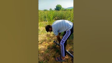 hariyana ka choora 💫#viral #youtube #love #trending #jatt #jaat #rajasthan #youtubeshorts #youtube