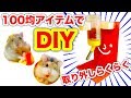 【ハムスター】どこでも設置OK‼️給水ボトルスタンドを１００均アイテムで簡単‼️おうちアレンジDIY