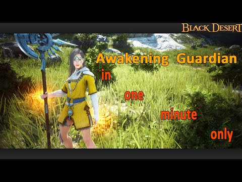 Learn How To Play Guardian in one minute, Full Guide For Awakening GR | Black Desert Online
