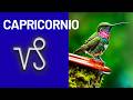 CAPRICORNIO DIOS💸 TE GOLPEA LA VERDAD! NADIE TE LO DIJO…PERO NO PODRÁS IGNORARLO🍀💥‼️