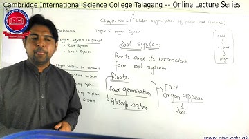 6th -  [Science] - Lecture#1 - Muhammad Imran - CISC Online Lecture Series