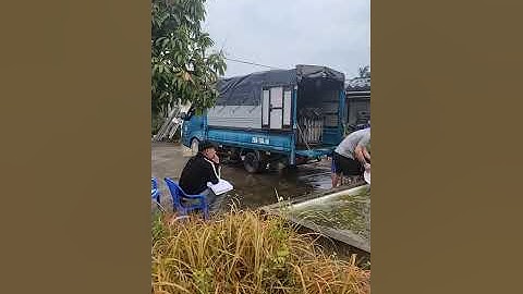 Vlogs 158 Bồi cá - Hồ Câu Minh Ngọc 0828152222 Thôn Khúc Giản, Xã An Tiến, Huyện An Lão, Hải Phòng