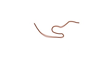 Bouncing rope with physics - Moho Pro 12