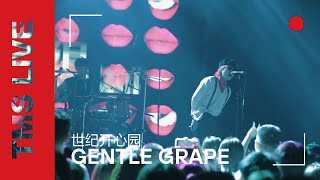 Gentle Grape - 世纪开心园 | TMS Live Shanghai (Concert in China)